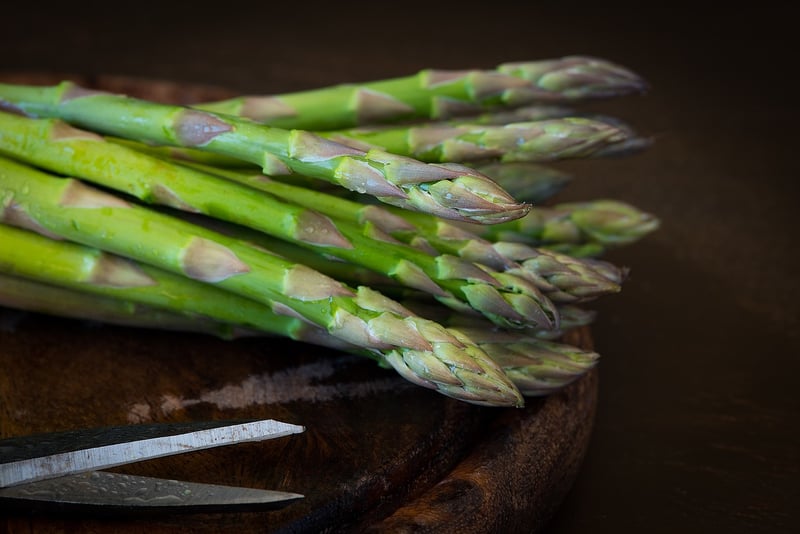 Harvest Recipes